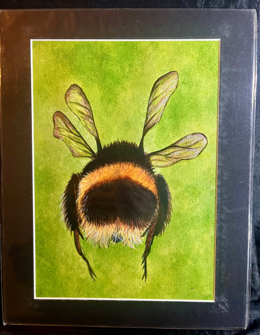 PBee